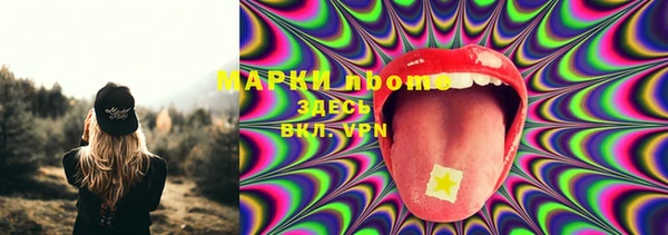 стаф Новокубанск