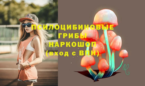 гашик Алзамай