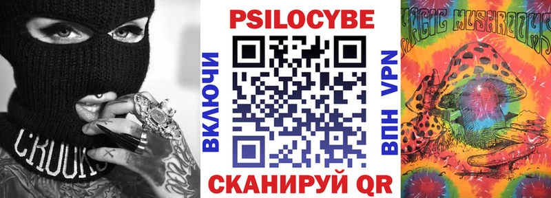 закладки  Алексеевка  Псилоцибиновые грибы Psilocybe 